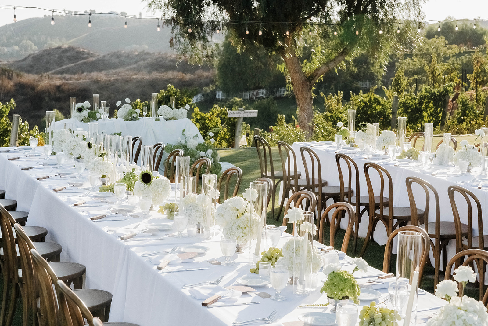 elegant outdoor wedding reception set up at morgan estate