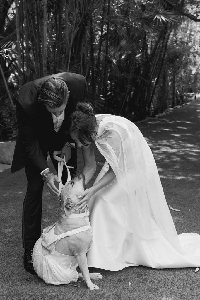 bride and groom and their dog during their romantic garden wedding at the Botanica wedding venue in Oceanside, CA